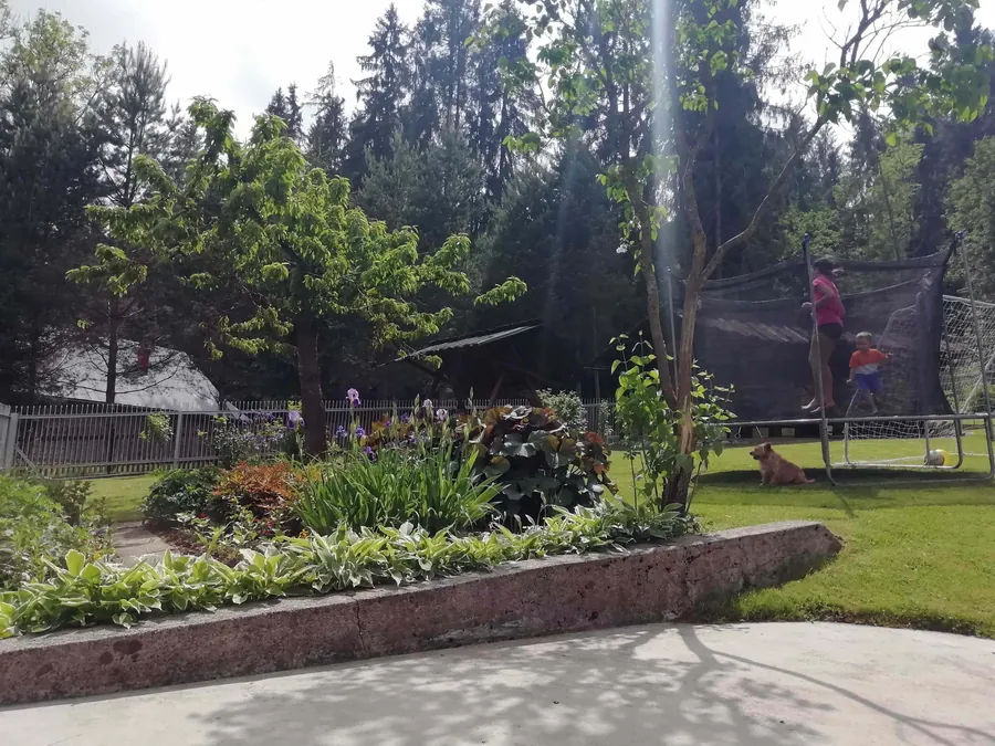 Ogród z trampoliną
